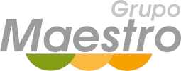 grupo maestro