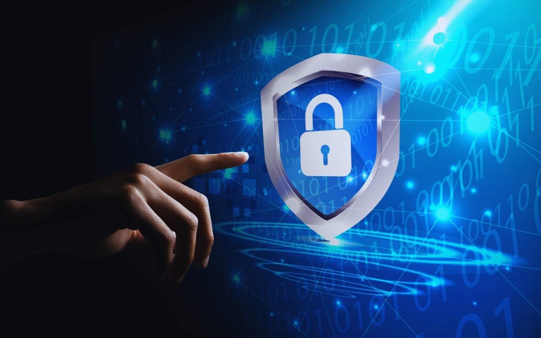 Transferencia internacional de Datos y la «Privacy Shield»