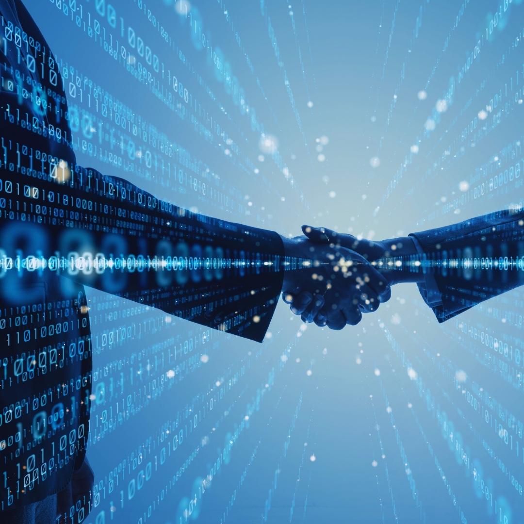 Asesoramiento y soporte técnico especializado